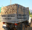 дрова с доставкой